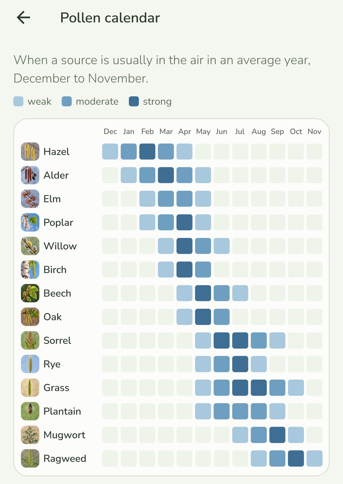 Screenshot of the pollen calendar in Pollenio: a grid of fourteen pollen sources against the twelve months, shaded from weak to strong