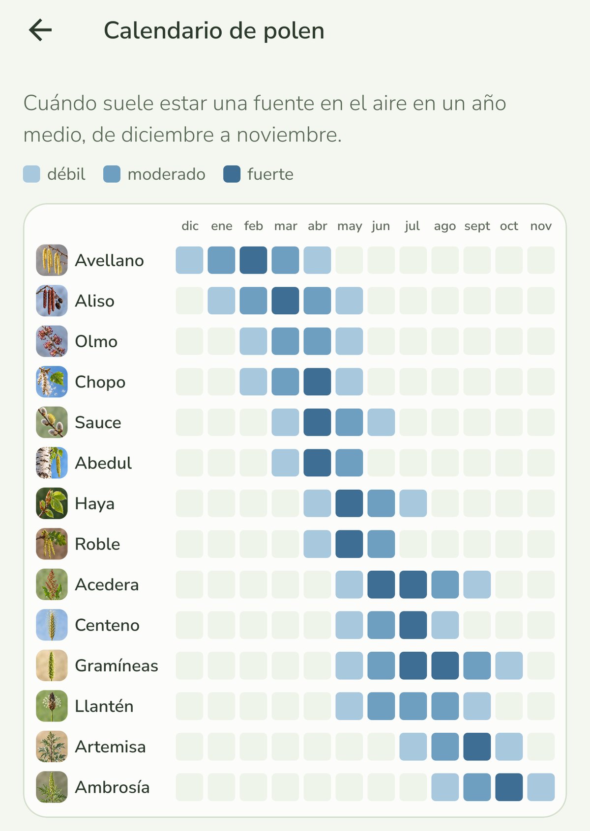 Captura del calendario de polen en Pollenio: una cuadr&iacute;cula de catorce fuentes de polen frente a los doce meses, coloreada de d&eacute;bil a fuerte